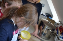 DSC_0522 (530x800)