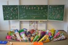 DSC_0767 (800x530)