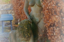 DSC_6166 (2)