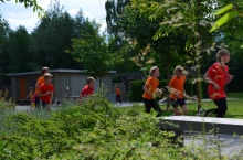 DSC_0797 (800x530)