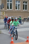 DSC_0636 (530x800)